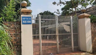 Nghi án lừa đảo "núp bóng" giao dịch dân sự trong vụ bán lươn giống 