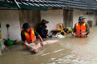 Nhiều tỉnh Miền Bắc thiệt hại do mưa lũ