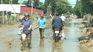 Yên Bái được hỗ trợ hơn 137 tấn hạt lúa giống
