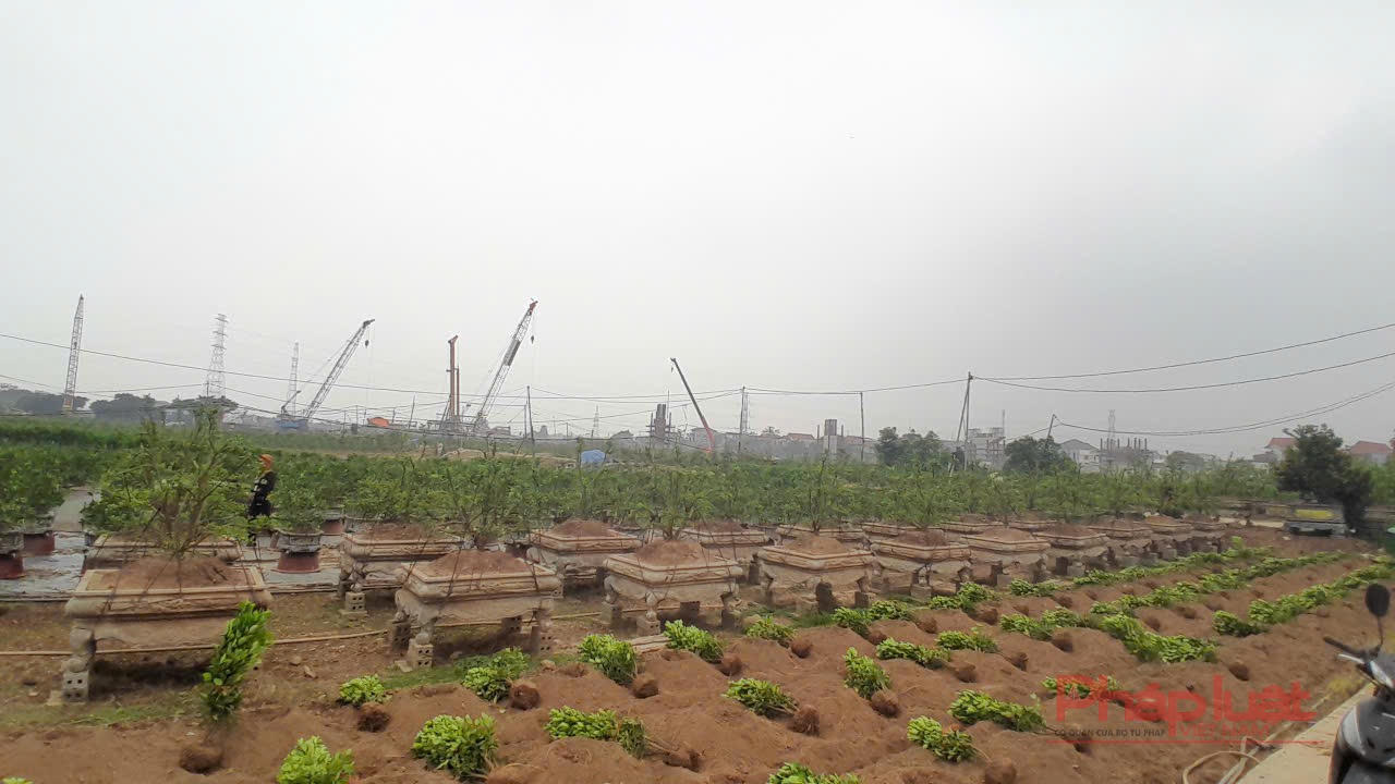 Khi các trụ cầu được thi công, hiện nay công nhân đang thực hiện đúc các dầm cầu bê tông ngay tại chân dự án.