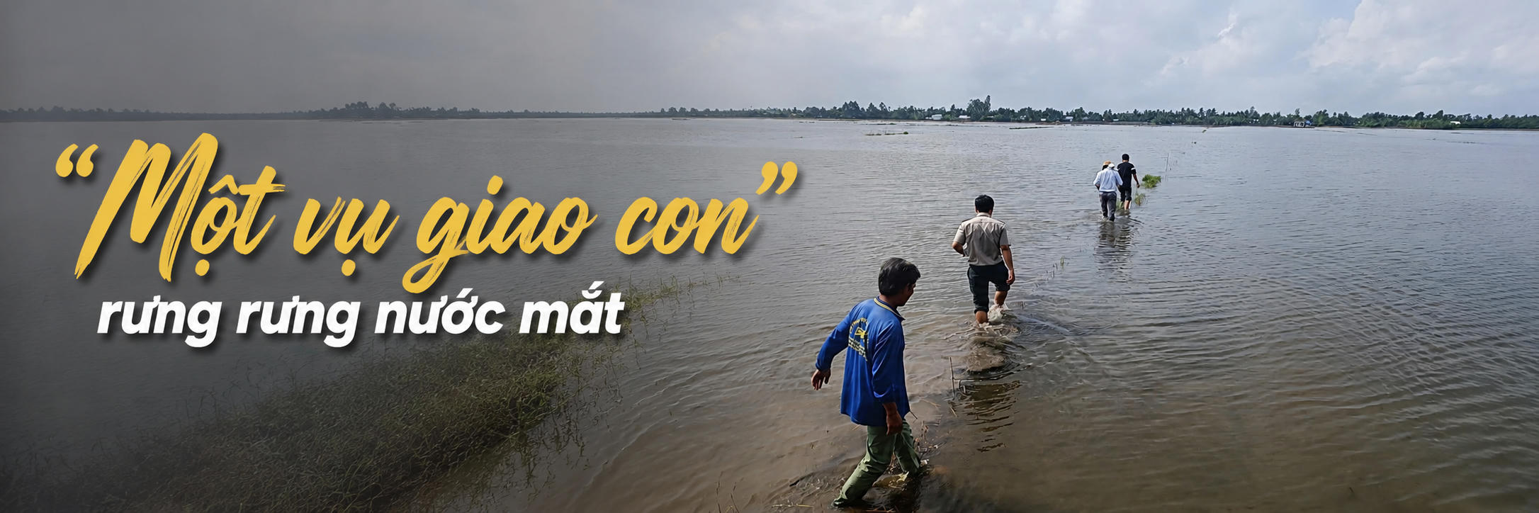 Chấp hành viên khởi kiện lấy lại tài sản bị tẩu tán và những câu chuyện nghề cảm động