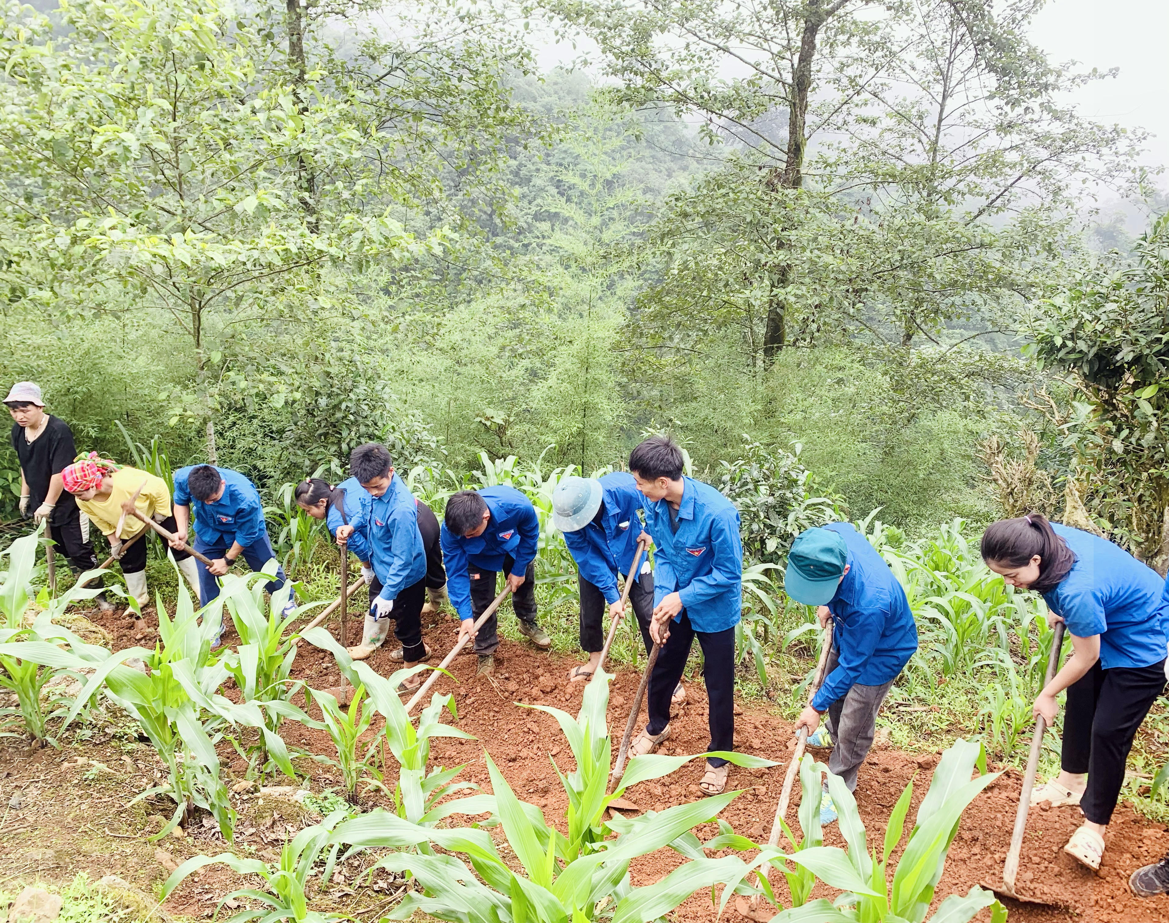 Các lực lượng và nhân dân trên địa bàn xã khẩn trương mở đường với tinh thần làm việc trách nhiệm, hối hả, khẩn trương. Ảnh: Hoàng Chính.