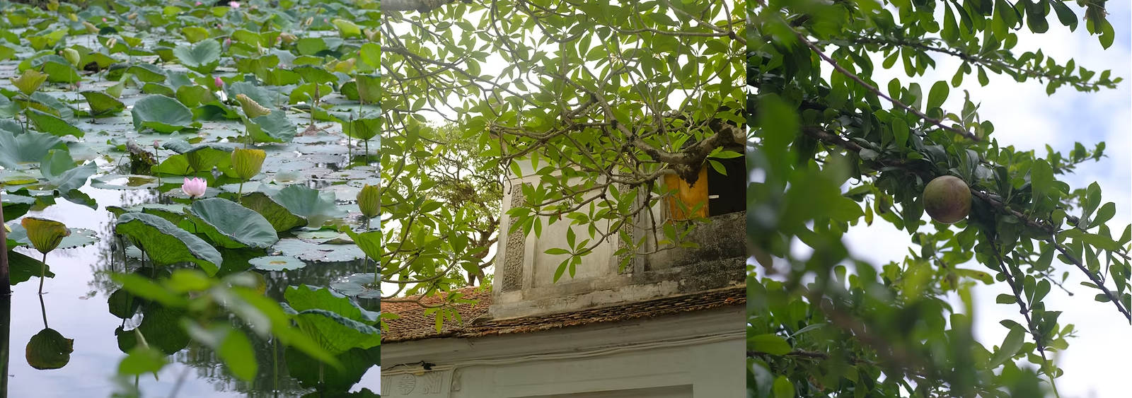 Tứ cung Xứ Đoài: Dấu ấn Tín ngưỡng thờ Tản Viên Sơn Thánh. Chương 2: Theo dấu chân Đức Thánh Tản qua 4 miền ký ức