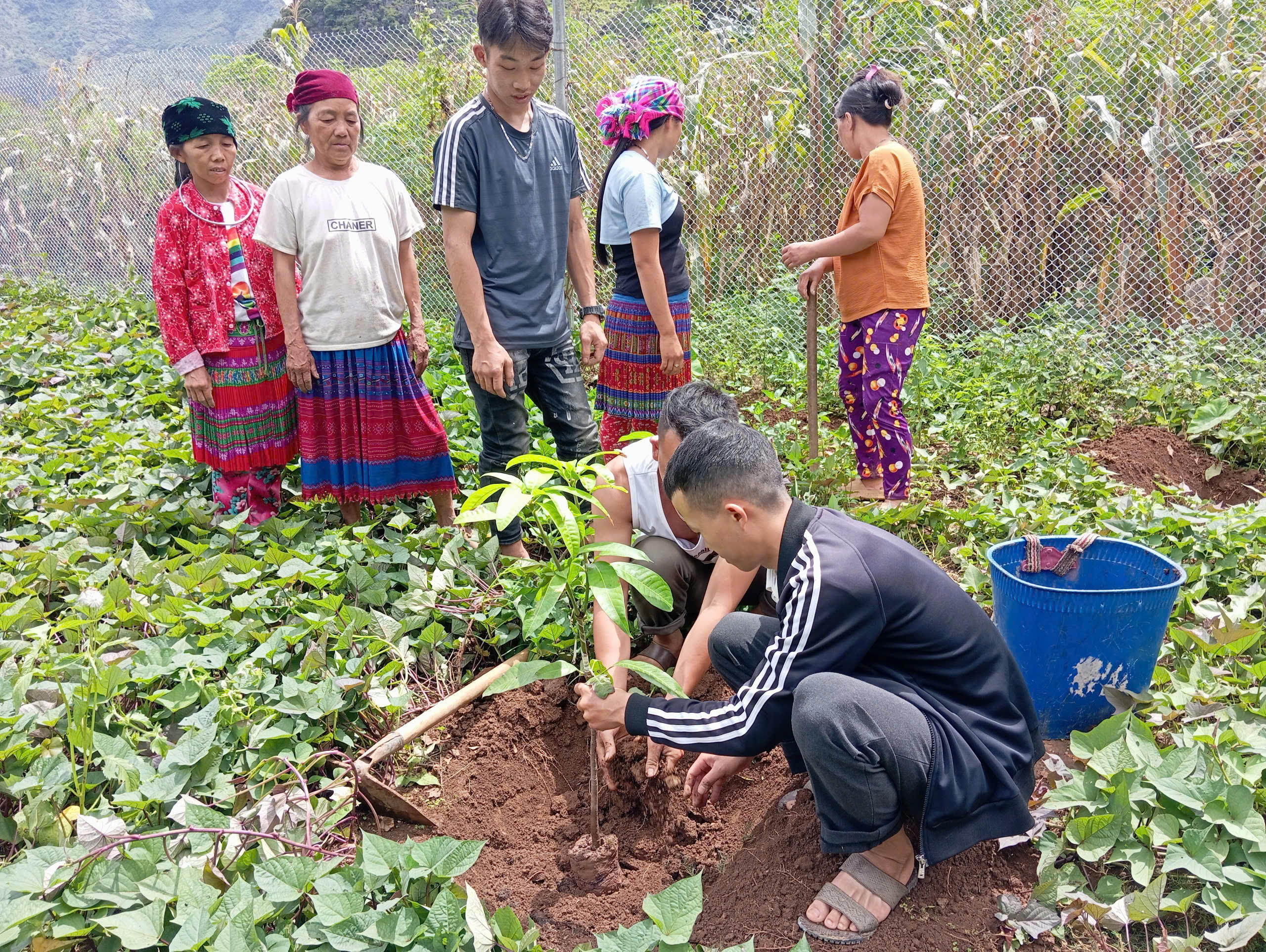 Không chỉ tuyên truyền bằng miệng một cách khô khan, lãnh đạo cấp ủy, chính quyền xã Khâu Vai còn xuống cùng bà con lao động, sản xuất, giao tiếp với bà con bằng tiếng Mông để truyền tải thông điệp thực hiện nếp sống văn minh trong sinh hoạt, cuộc sống.