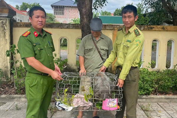 Người dân Quảng Trị tự nguyện giao nộp khỉ mặt đỏ nguy cấp