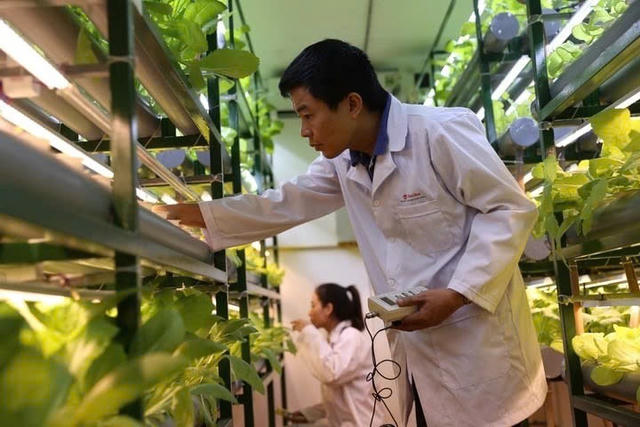 Chuẩn hóa tiêu chuẩn quốc gia, đưa Việt Nam tiến gần mục tiêu Net Zero