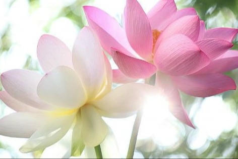 Sửa mình hay sửa người?