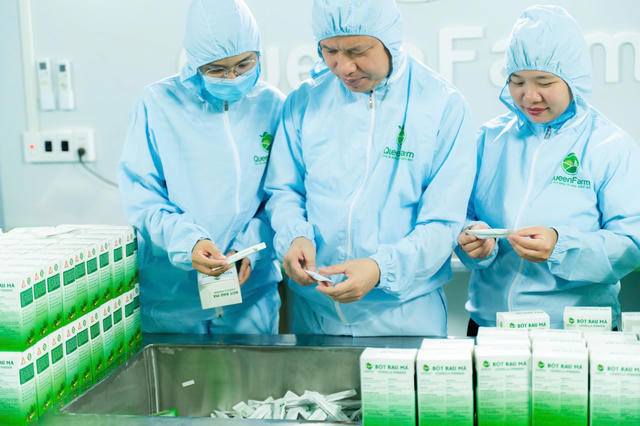 THQueenFarm: Hành trình nâng tầm rau má và tía tô Thanh Hóa thành nông sản đặc sản THQueenFarm: Hành trình nâng tầm rau má và tía tô Thanh Hóa thành nông sản đặc sản