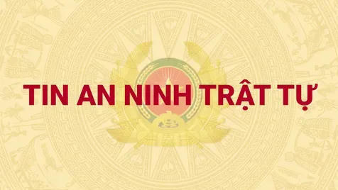 Đề nghị truy tố vắng mặt bị can truy nã Nguyễn Công Minh trong vụ án 'Cây xanh Công Minh'