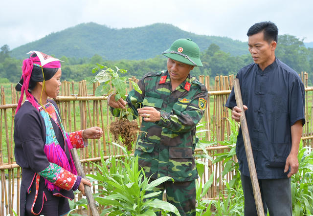 Triển khai Đề án giáo dục, tuyên truyền về Quân đội tham gia lao động sản xuất