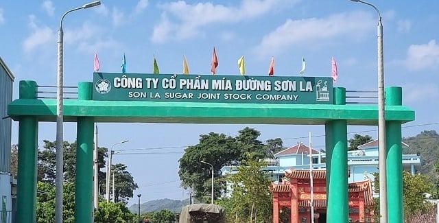 Mía Đường Sơn La (SLS) báo lãi sau thuế đạt 92,5, giảm 12% 