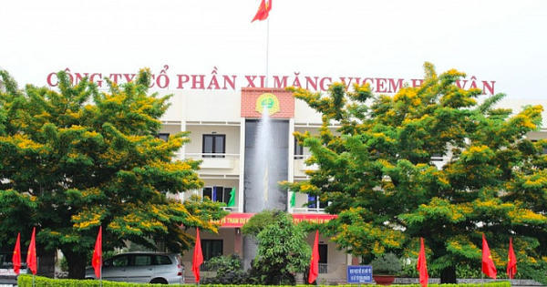 Vicem Hải Vân (HVX): Chủ tịch và Thành viên HĐQT đồng loạt từ nhiệm, cổ phiếu đối diện án hủy niêm yết bắt buộc