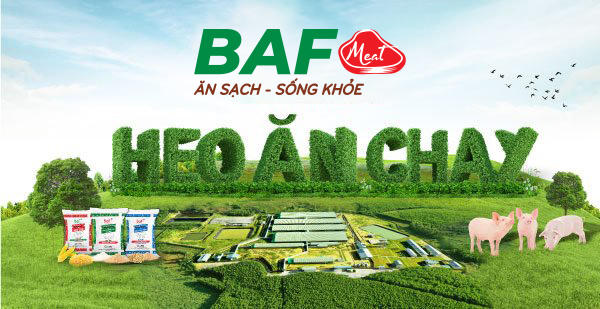 BAF Việt Nam (BAF): Doanh thu năm 2025 vượt 5.000 tỷ đồng, quý IV báo lỗ do giá vốn tăng cao