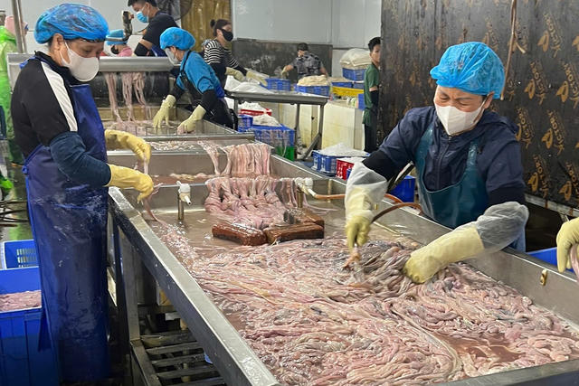 Phát hiện gần 64 tấn lòng lợn không hóa đơn chứng từ tại Hà Nội