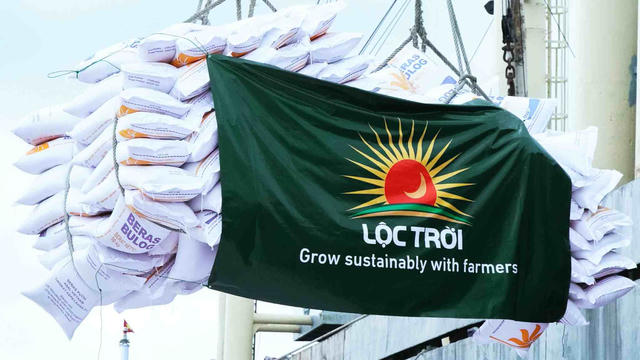 Tập đoàn Lộc Trời (LTG): Xin hoãn công bố báo cáo tài chính, hoán đổi đất đai lấy cổ phần công ty con