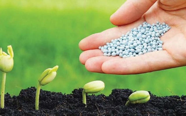 Ngành phân bón hóa chất 2025: Động lực tăng trưởng mạnh mẽ và cơ hội bứt phá năm 2026
