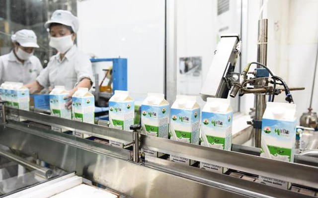 Mộc Châu Milk (MCM) tồn đọng hơn 633 tỷ đồng vốn huy động, lợi nhuận năm 2025 đi lùi