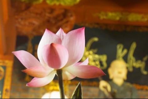 Đầu năm thiết lập một tài khoản phước đức cho đời mình