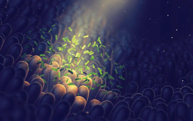 LiveSpo: Lợi nhuận ròng năm 2025 tăng 35%, khởi công nhà máy sản xuất mới tại Hưng Yên