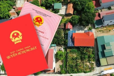 Đường dây nóng tiếp nhận, xử lý thông tin vi phạm quản lý và sử dụng đất đai Đường dây nóng tiếp nhận, xử lý thông tin vi phạm quản lý và sử dụng đất đai