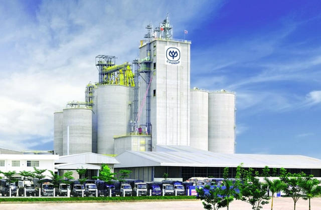 Doanh thu C.P. Việt Nam sụt giảm 17% trong năm tài chính 2025 và sự cố thông tin an toàn thực phẩm Doanh thu C.P. Việt Nam sụt giảm 17% trong năm tài chính 2025 và sự cố thông tin an toàn thực phẩm