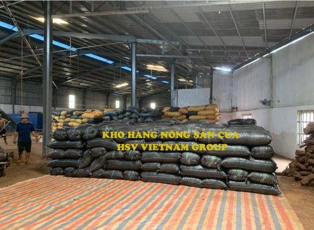 CEO Nguyễn Văn Quân nắm quyền lớn nhất tại HSV, chi 150 tỷ đồng mở rộng đội tàu thủy