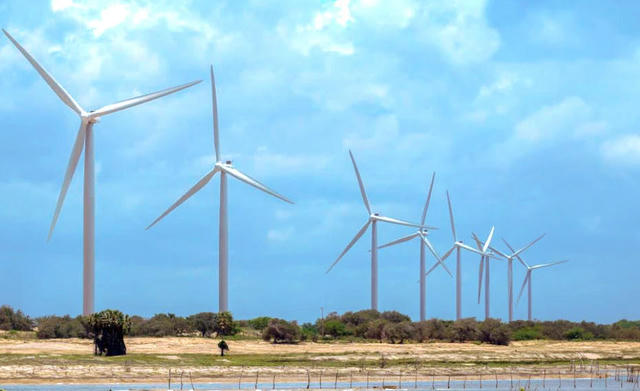 Năng lượng Bắc Phương mua lại trái phiếu trước hạn giữa đà giảm lợi nhuận