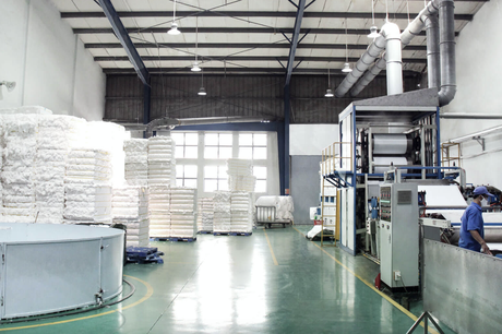 Lãi ròng đi lùi, Bông Bạch Tuyết (BBT) đệ trình phương án rót 180 tỷ đồng xây dựng Trung tâm đổi mới