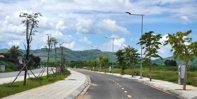 Hủy công nhận kết quả trúng đấu giá 28 lô đất ở Quảng Ngãi