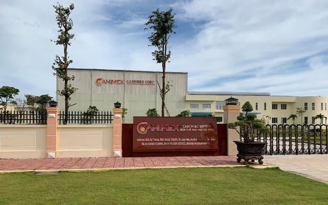 Khai sai thuế, Camimex Group (CMX) bị xử phạt vi phạm hành chính Khai sai thuế, Camimex Group (CMX) bị xử phạt vi phạm hành chính