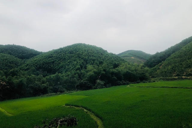 Những người 'thích nghèo'