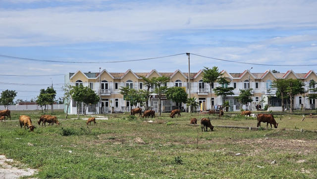 Đà Nẵng điều chỉnh tiến độ dự án nhà ở Khu đô thị Viêm Minh - Hà Dừa