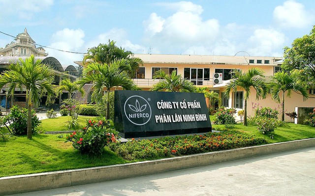 Chia cổ tức tỷ lệ 50%, Phân lân Ninh Bình (NFC) hướng tới năm thứ 5 liên tiếp lập đỉnh lợi nhuận