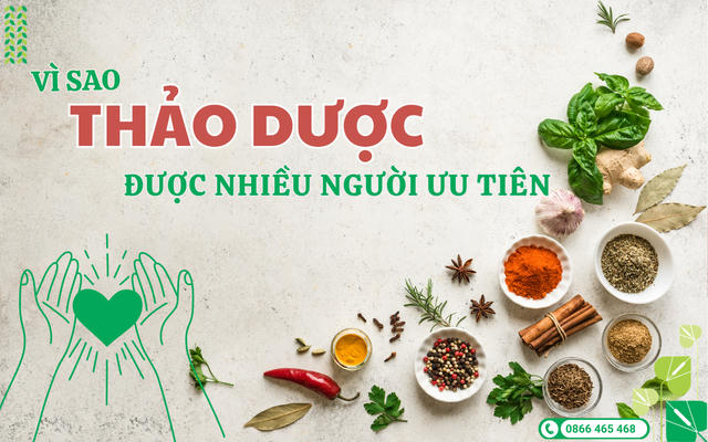 Thanh nhiệt bằng thảo dược - Xu hướng chăm sóc sức khỏe được ưa chuộng