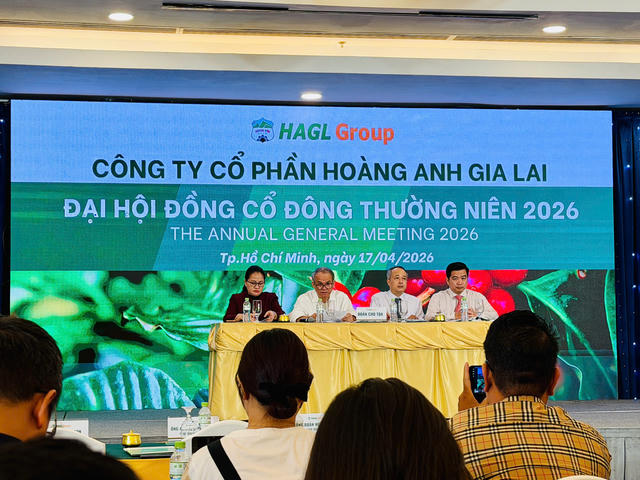ĐHĐCĐ 2026 Hoàng Anh Gia Lai (HAG): Sắp IPO công ty con nghìn tỷ, dừng phát triển mảng Bất động sản