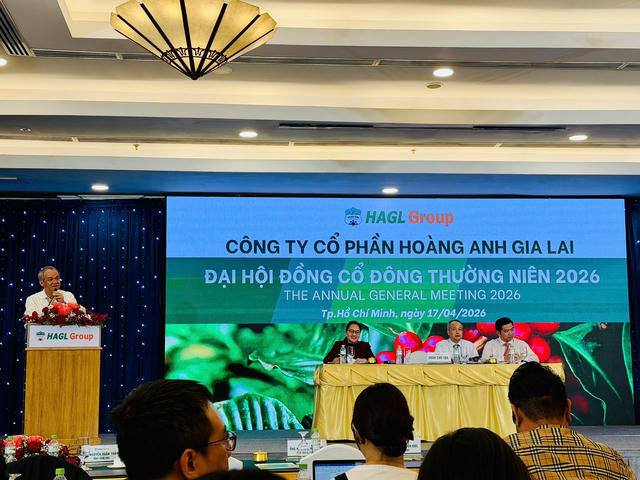 Chủ tịch Hoàng Anh Gia Lai (HAG) : Dứt khoát không phát hành 'giấy', khuyên cổ đông mua cổ phiếu 'lỗ cứ lôi tôi ra chửi'