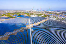 Lợi nhuận Điện mặt trời Trung Nam Trà Vinh tăng 21% trong nửa đầu năm, gánh nặng nợ vay hạ nhiệt