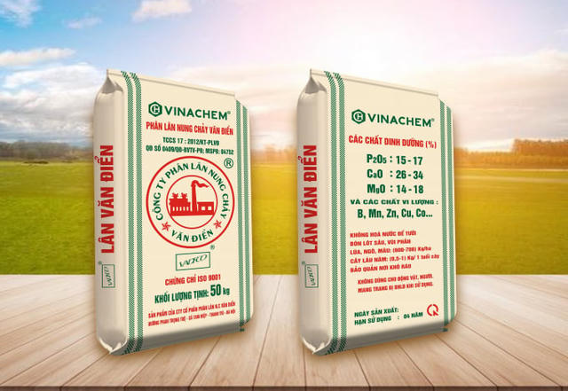 Chậm công bố liên quan báo cáo tài chính quý I/2026, Công ty Phân lân nung chảy Văn Điển (VAF) bị HoSE nhắc nhở
