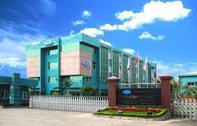 Gỗ Trường Thành (TTF) báo lỗ quý I/2026, lỗ luỹ kế ăn mòn hơn 80% vốn điều lệ