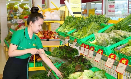 Bách hóa Xanh đặt chân đến Hà Nội, doanh thu quý 1 vượt mốc 13.100 tỷ đồng