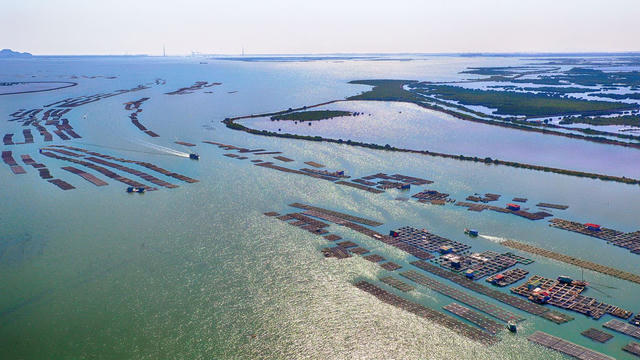 Phê duyệt quy hoạch Khu kinh tế ven biển Quảng Yên (Quảng Ninh) hơn 13.300 ha