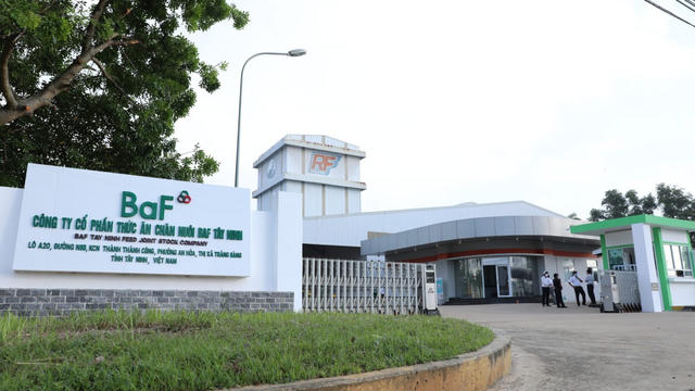 BAF Việt Nam (BAF) mua 25% vốn Hùng Phát Farm Một, lợi nhuận quý I/2026 tăng 54%