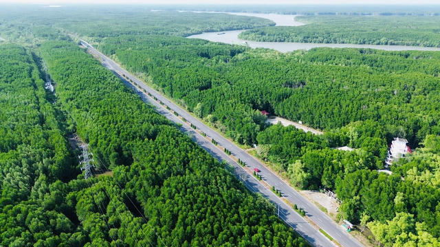 TP HCM ‘chốt’ hướng tuyến đường sắt Bến Thành - Cần Giờ dài gần 54 km