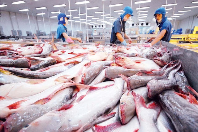 Thủy sản Việt khởi sắc đầu năm 2026: Cá tra bứt tốc, ngành tôm gặp nhiều thách thức