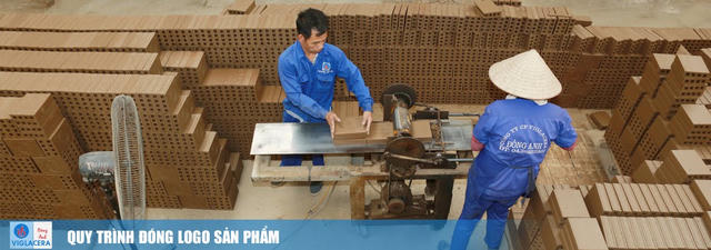Cổ phiếu DAC chưa thoát hạn chế giao dịch do vốn chủ sở hữu âm, lỗ lũy kế hơn 26 tỷ đồng Cổ phiếu DAC chưa thoát hạn chế giao dịch do vốn chủ sở hữu âm, lỗ lũy kế hơn 26 tỷ đồng
