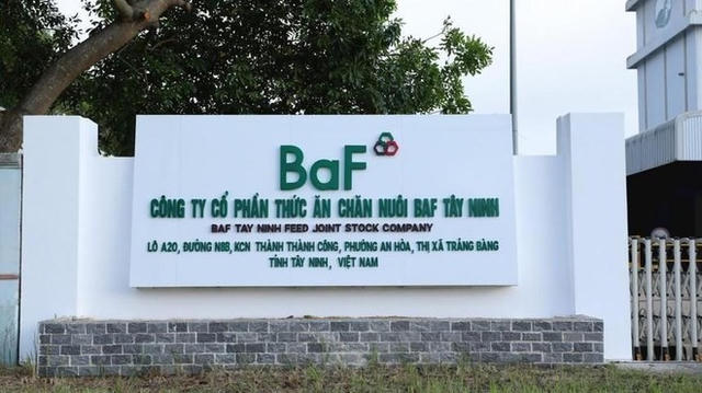 BaF Việt Nam (BAF) dự phát hành hơn 60 triệu cổ phiếu cho cổ đông, nâng vốn điều lệ lên 3.648 tỷ đồng
