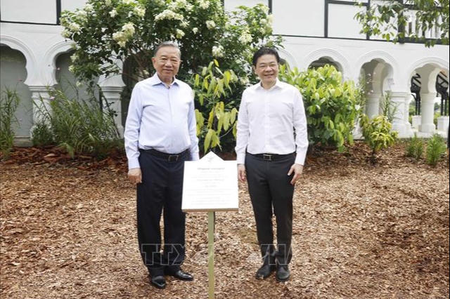 Tổng Bí thư, Chủ tịch nước Tô Lâm và Thủ tướng Lawrence Wong trồng cây tại Vườn Bách thảo Singapore
