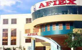 Afiex (AFX) lãi lớn quý I/2026, dồn lực cho chiến lược xuất khẩu gạo giá trị cao