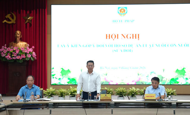 Nghiên cứu quy định độ tuổi tối đa được nhận con nuôi Nghiên cứu quy định độ tuổi tối đa được nhận con nuôi