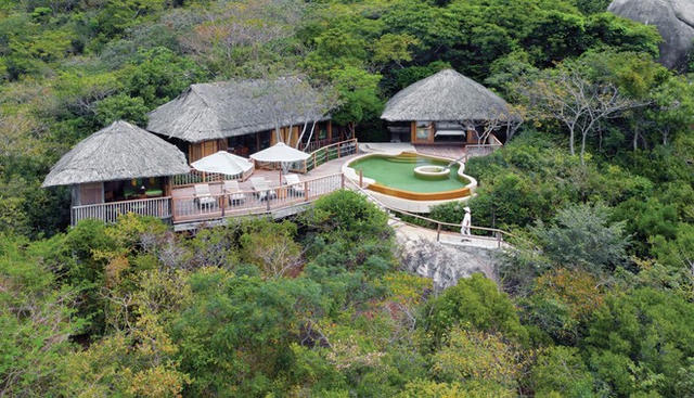 Ninh Vân Bay (NVT) đón tân Tổng Giám đốc giữa áp lực xử lý rủi ro mất tư cách đại chúng